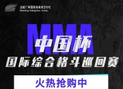 华体会官网-国内足球联赛搏击场上致胜关键