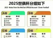 华体会全站-世俱杯赛事规则完整说明(世俱杯赛事规则完整说明图)