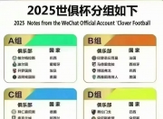 华体会全站-世俱杯赛事规则完整说明(世俱杯赛事规则完整说明图)