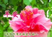 华体会平台-阿拉巴祝福穆西亚拉：保持坚强！祝你顺利、完全康复！