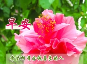 华体会平台-阿拉巴祝福穆西亚拉：保持坚强！祝你顺利、完全康复！