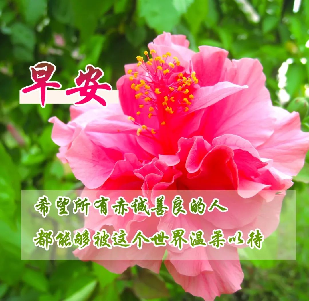 阿拉巴祝福穆西亚拉：保持坚强！祝你顺利、完全康复！
