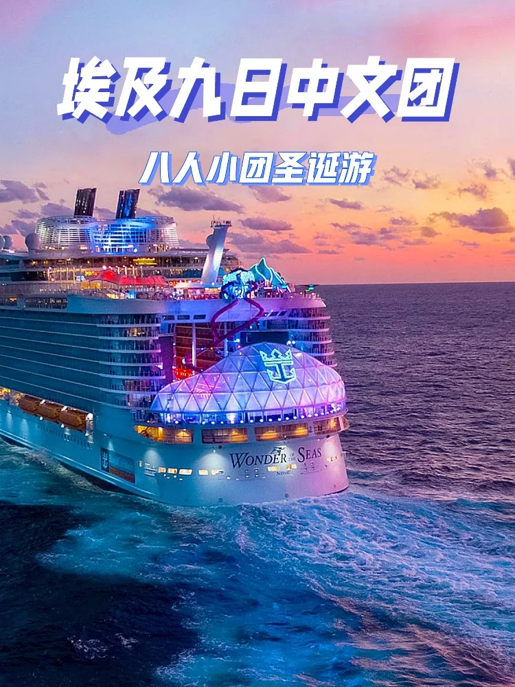 埃及代表团实力雄厚，一举夺金的简单介绍
